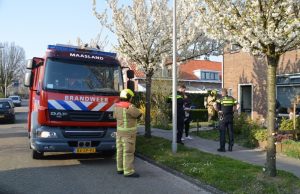 Brandweer rukt uit voor vlam in de pan Prinses Irenelaan Maasland