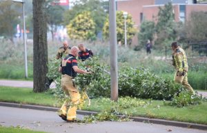 Brandweer haalt losse tak weg boven rijbaan Rijswijkse Waterweg Den Haag