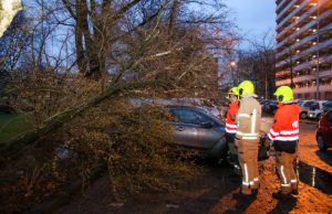 Boom valt tegen auto Chopinplein Schiedam