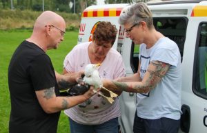 Gestrikt in visdraad, brandweer schiet te hulp Hargapad Vlaardingen