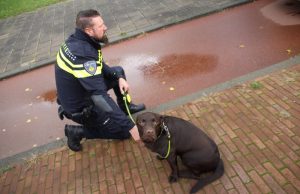 Politie laat hond uit na ongeluk Ockenburghstraat Den Haag