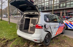 Fors ongeval tussen hondenwagen politie en 40km wagentje Laan op Zuid Rotterdam