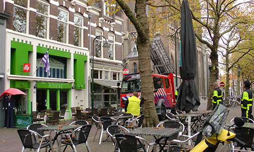 23 oktober Meeuw in de problemen Burgwal Delft (video)