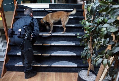 Politie rolt omvangrijk hennepnetwerk op