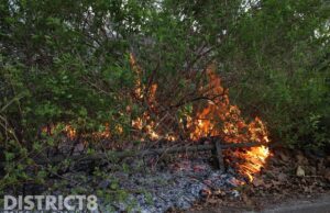 Brandweer blust flinke brand in bosschage Binckhorstlaan Den Haag